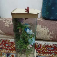 گل قشنگ نونو|گل مصنوعی|زاغه, |دیوار