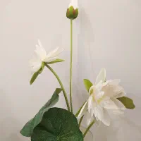 گل مصنوعی|گل مصنوعی|تربت‌حیدریه, مظفریه|دیوار