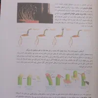جزوه زیست عظیمی تاملند|لوازم التحریر|سنقر, |دیوار