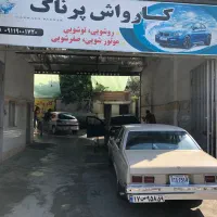 نیروی کارواش