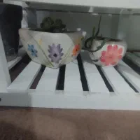 استند وگل وگلدان|گل و گیاه طبیعی|سرپل ذهاب, |دیوار