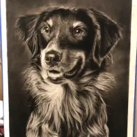 سیاه قلم سفارشی هنر شما در قاب|تابلو، نقاشی، عکس|بهارستان, |دیوار