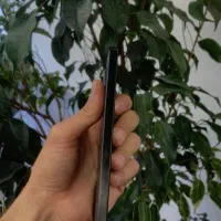 16 pro max فوق العاده تمیز|موبایل|مشهد, بهشت|دیوار