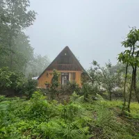 کلبه سویسی استخر جنگلی وسط جنگل یالبندان