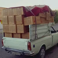 وانت باررخش سیستان