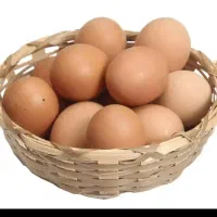 تخم مرغ محلی