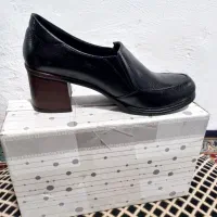 کفش خوش پوش