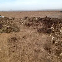 کود بلدرچین