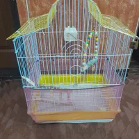 قفس پرنده