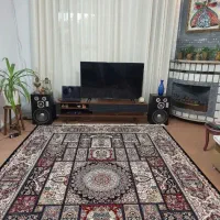 فرش ۹ متری،دو عدد|فرش|شیراز, دلجو|دیوار