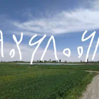 سیم کارت دائمی