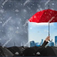 بیمه بدنه، بیمه ثالث،