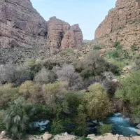 تجاری فروشی 40متری سهیلیه بر اصلی بهترین لوکیشن