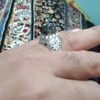 انگشتر دوپوست|جواهرات|دهگلان, |دیوار