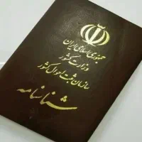 پیدا شده