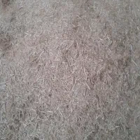 خرید یونجه وکاه بانیسان در ب دامداری تحویل