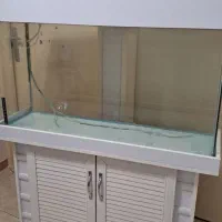 آکواریوم شیشه خم 30×60×100