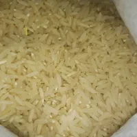 فروش برنج طارم هاشمی دو نوج