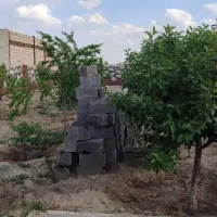 ویلای-1000-متری-شاهنامه-76