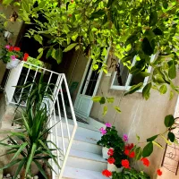 سوییت اجاره ایی دربست