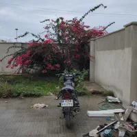 باجاج ۱۳۵ جاسک ۹۱