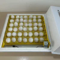 دستگاه جوجه کشی دیجیتال کاکس ۴۲عددی|لوازم جانبی حیوانات|تهران, ایران|دیوار