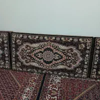 پشتی نو نو نو|پشتی|زنجان, |دیوار