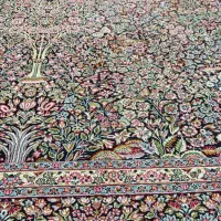 دو عدد فرش دوازده متری|فرش|صومعه‌سرا, |دیوار