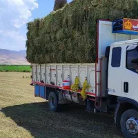 فروش عمده خوراک دام و طیور زیر قیمت بازار