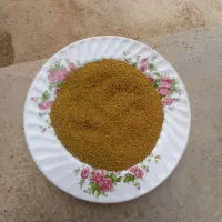 قیمت ۱/۵۰۰/۰۰۰ یونجه پابلند و تناژ دهی بالا.