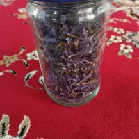 گل گاوزبان