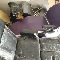 وسایل سالن زیبایی|آرایشگاه و سالنهای زیبایی|هرسین, |دیوار