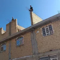 خانه ویلایی سندوپروانه دارددوطبقه