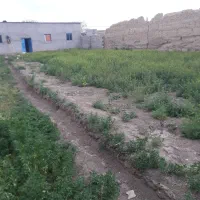 ملک خانه  وسوله درروستایی تقی دیزج