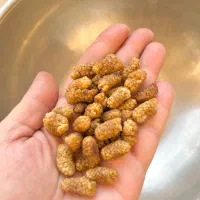 توت خشک آذربایجان
