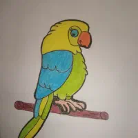 کاردستی و نقاشی|تابلو، نقاشی، عکس|زابل, |دیوار