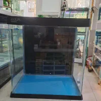 شهر اکواریوم|ماهی|ساری, |دیوار