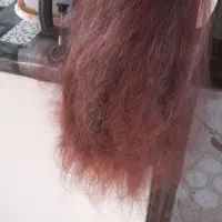 سر مانکن|آرایشی، بهداشتی، درمانی|شهرکرد, |دیوار