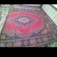 قالی بدون کوچکترین زدگی سوختگی یاپارگی