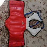 دوعدد هوگو تکواندو شماره2