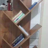 کتابخونه ایستاده