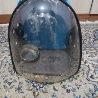 کیف پرنده