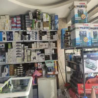 سیکلید تورکانا|ماهی|فولادشهر, B4|دیوار