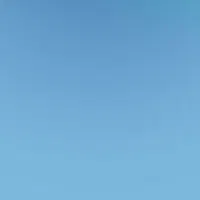 گل محمدی