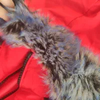 دو عدد کاپشن زیر قیمت|لباس|شیراز, شهرک سراج‎|دیوار