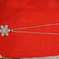 پلاک زنجیر و انگشتر نقره