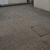 موکت پالاز پامچال 411 سی متر