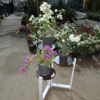 نیروی کارگاهی آقا فوری|استخدام صنعتی، فنی، مهندسی|قم, قلعه صدری|دیوار