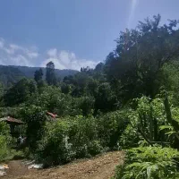 500متر کوهستانی مدارک کامل به شرط پروانه ساخت|فروش زمین و ملک کلنگی|احمدسرگوراب, |دیوار