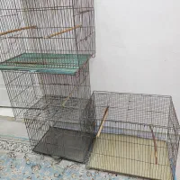 قفس پرنده